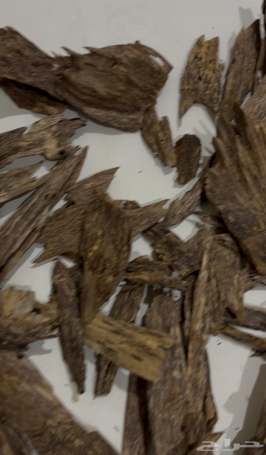 كلمنتان63290703734275119