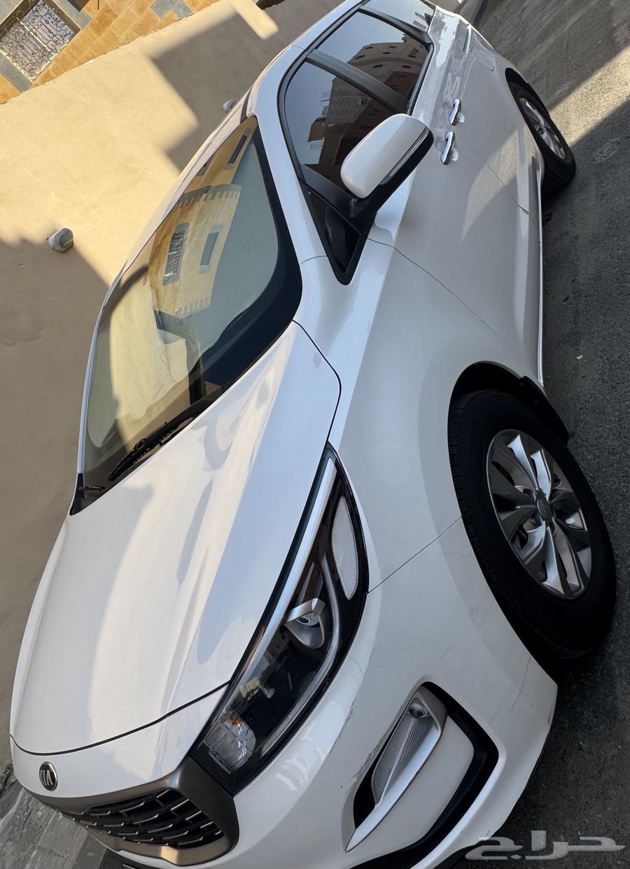 كرنفال 2019 نص فل استيراد كوريا63500234000131114