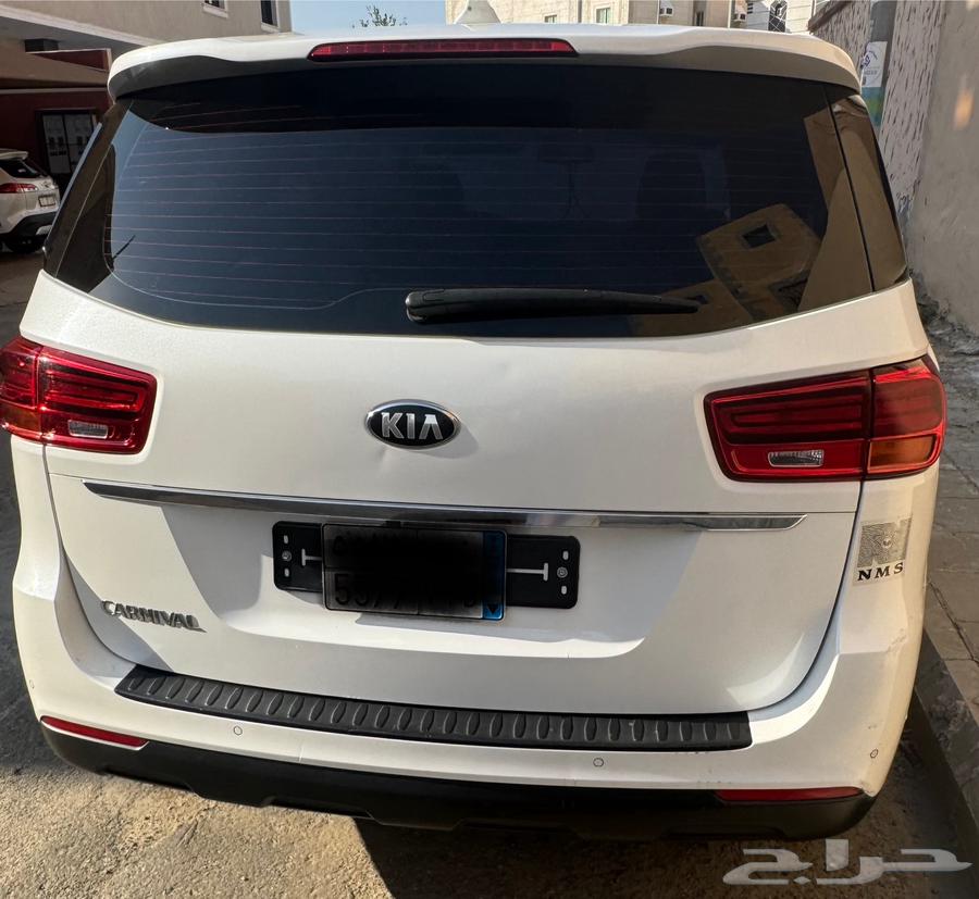 كرنفال 2019 نص فل استيراد كوريا63500234000131112