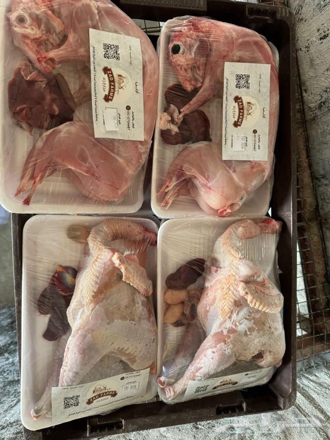 ارنب ديك بيض بلدي63290030344706112