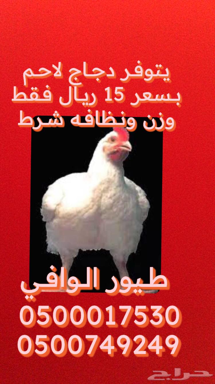 Al-Wafi Poultry Slaughterhouses in Bisha63616475915009111