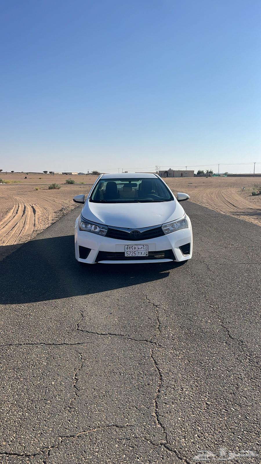 Kurula 2015 Qir Cayidi Nus Fıl63006752620930114