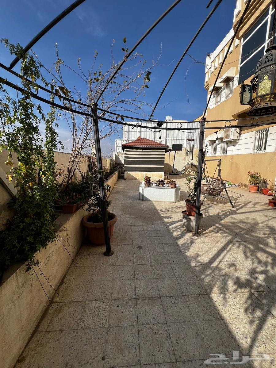 An opportunity for sale (residential and commercial building) behind Tufa7a Center - Abha63006635864322112
