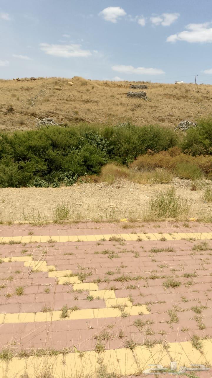Land for sale - Land - Al Qura Governorate in Al Bahah region - Mahwiah63006635472771114