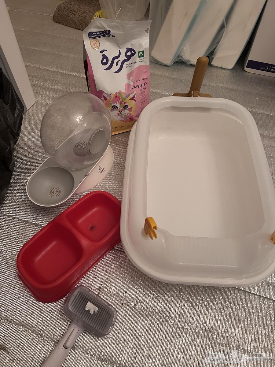 Cat supplies for sale63006682777601114