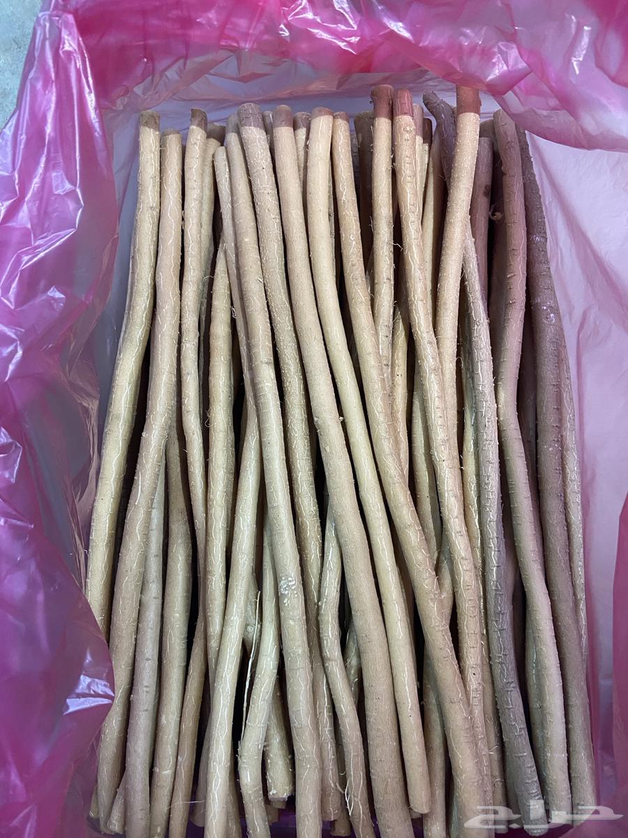 مساويك الاراك ابو حنش جمله وبسعر مناسب63281002009474111