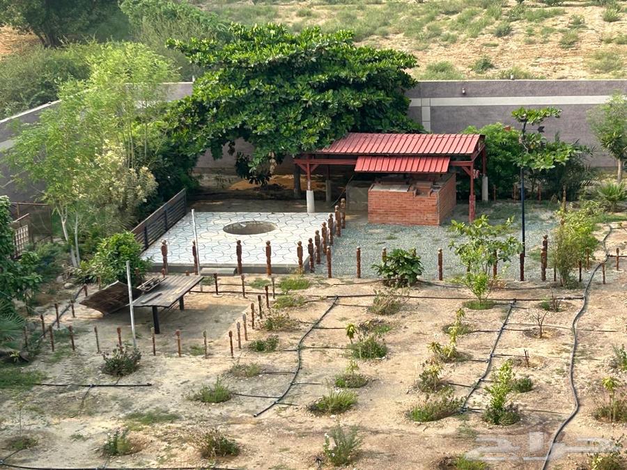For sale: agricultural land with a private villa and a cattle pen in Sabia63006788720003112