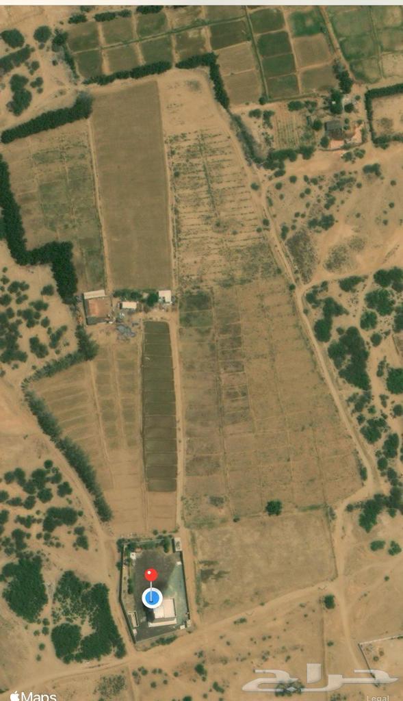For sale: agricultural land with a private villa and a cattle pen in Sabia63006788720003111