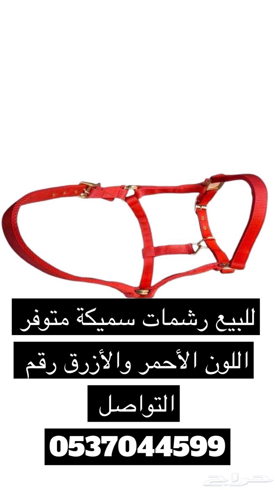 Horse equipment Rushma63277465783554111
