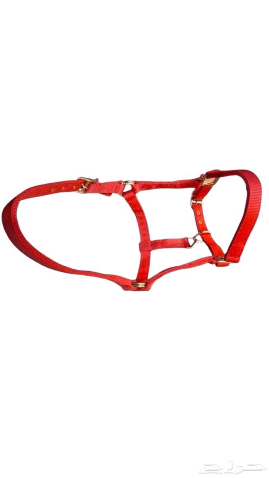 Horse equipment Rushma63277465783554111
