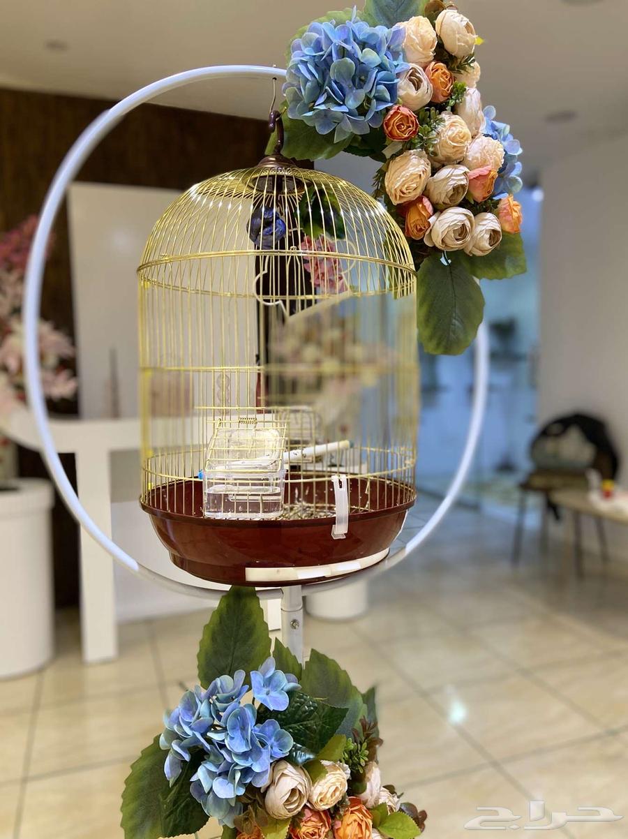 A bird coordinated with flowers  
A fish tank coordinated with flowers63278214753921111