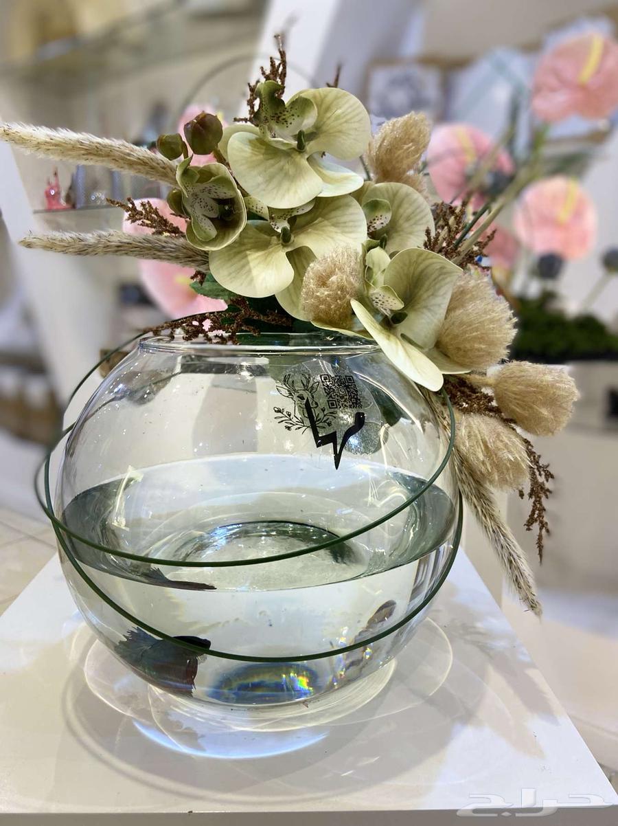 A bird coordinated with flowers  
A fish tank coordinated with flowers632782147539211124