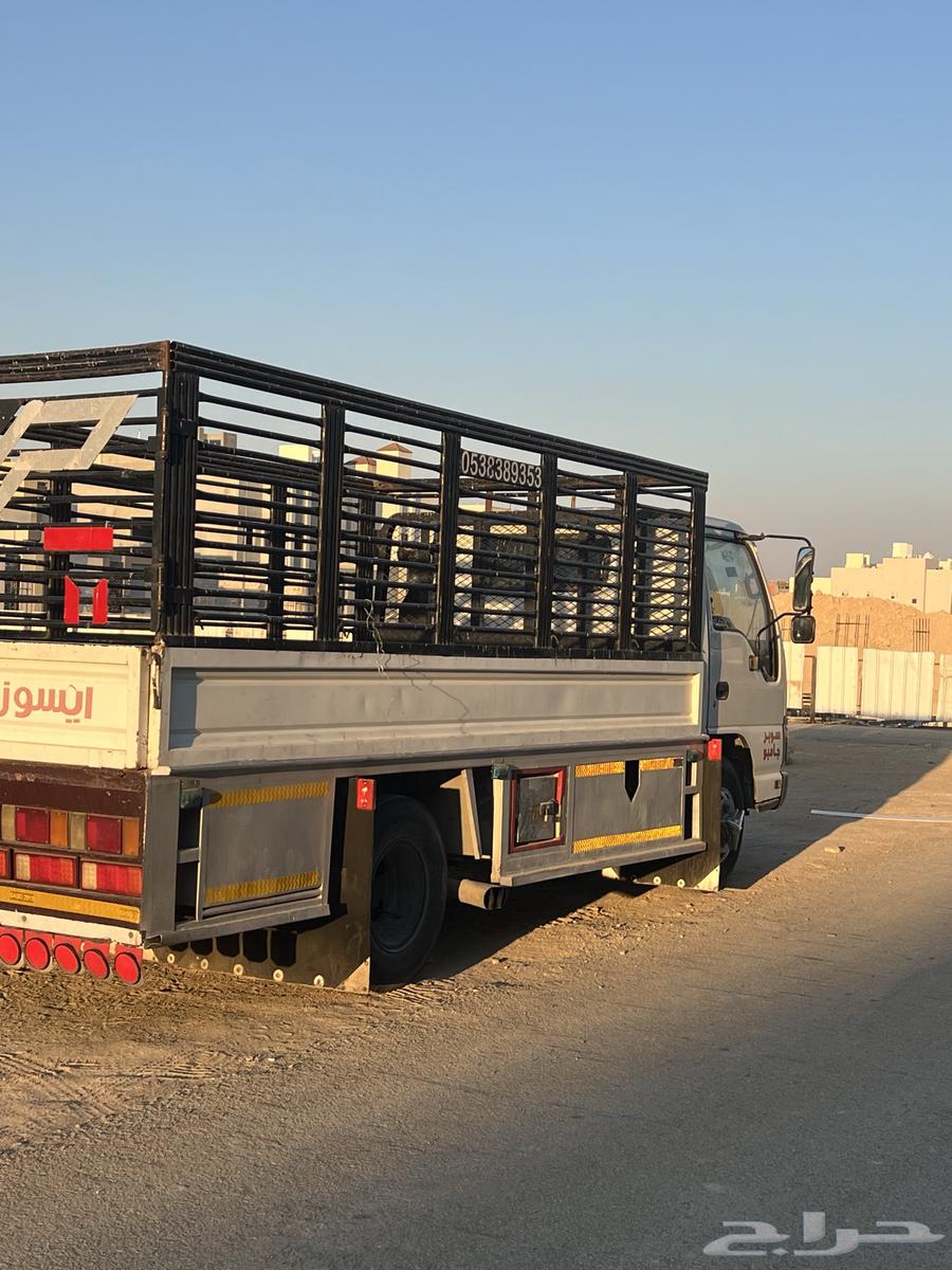 Dina for furniture transfer63006861836674116