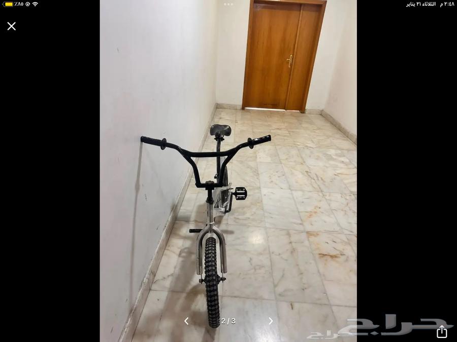 Cobra Cycle63277875246593111