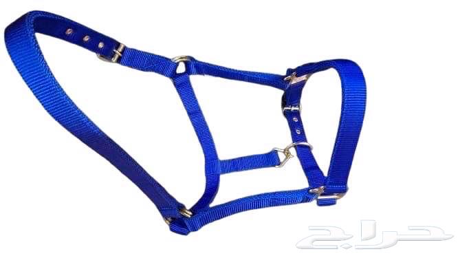 Horse equipment Rushma63277465783554112