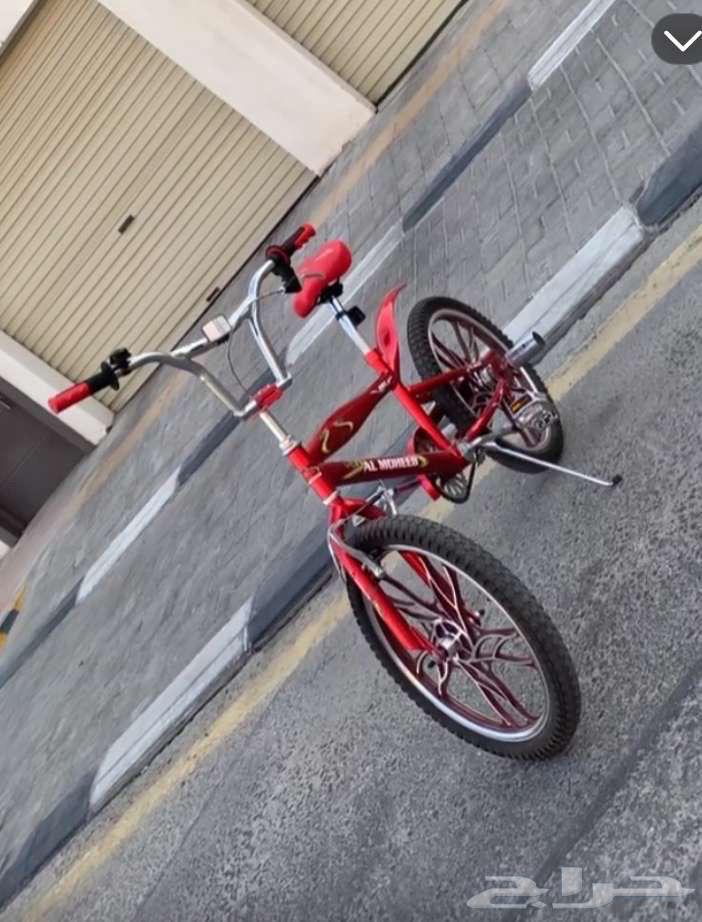 Cobra bicycle63277104239105111