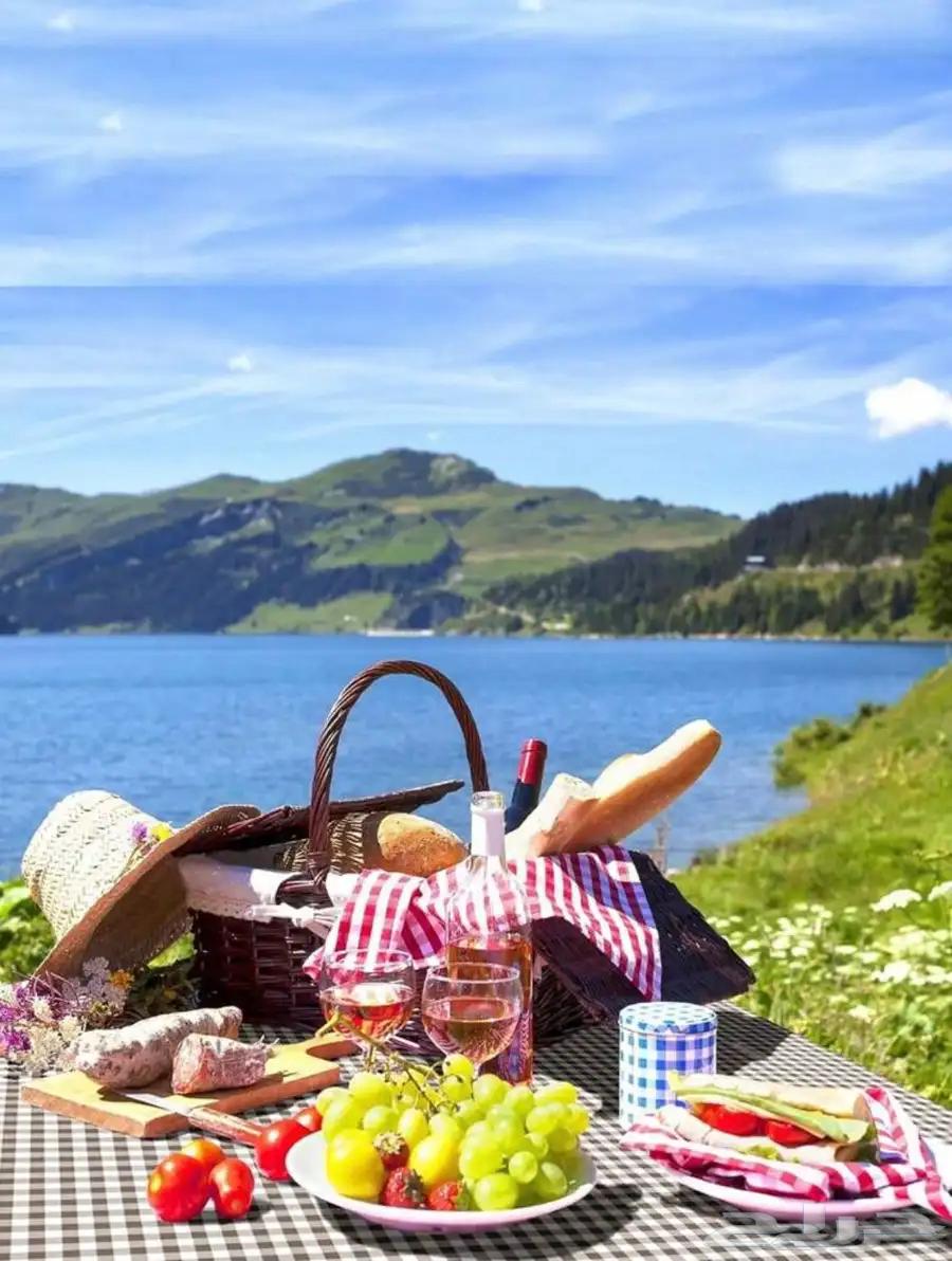 A portable carpet like a bag for traveling... it makes it easy for you, but the quantity is limited632782287200031126