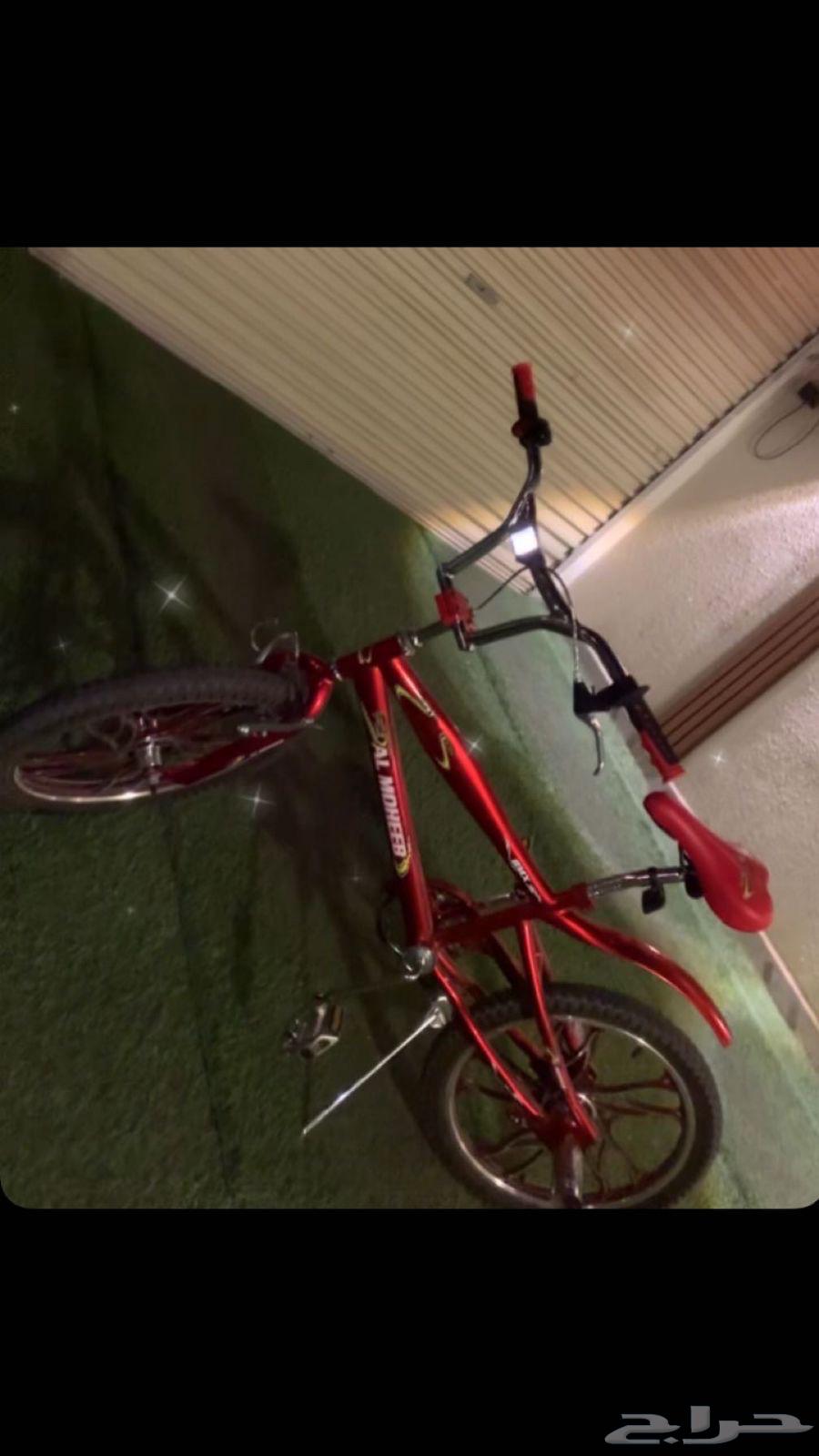 Cobra bicycle63277104239105117