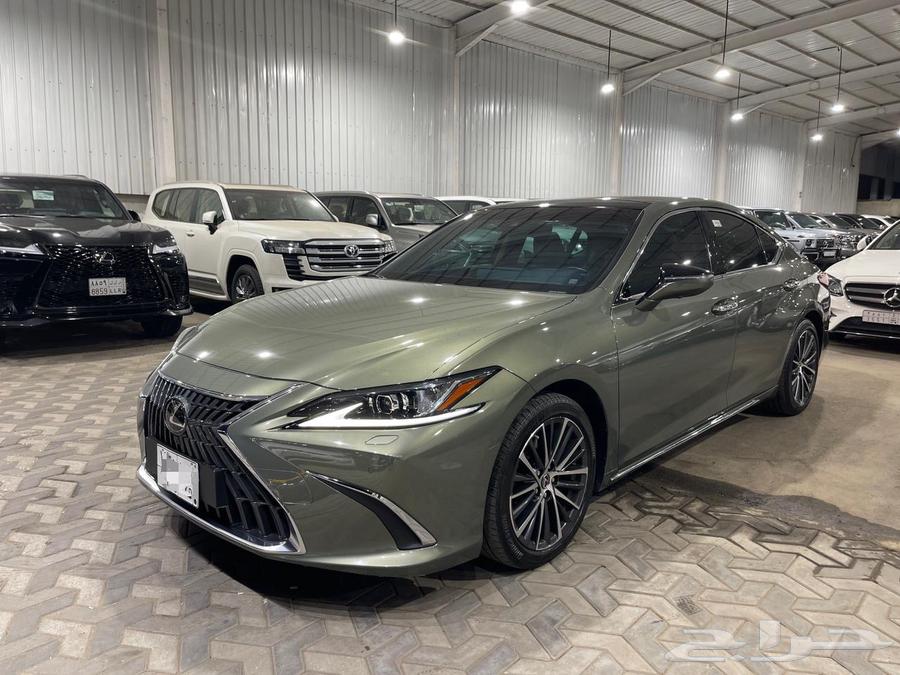 Sold, sold, sold63471618599554111