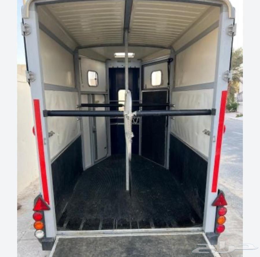عربه عربة خيل فروسية63274883631105111