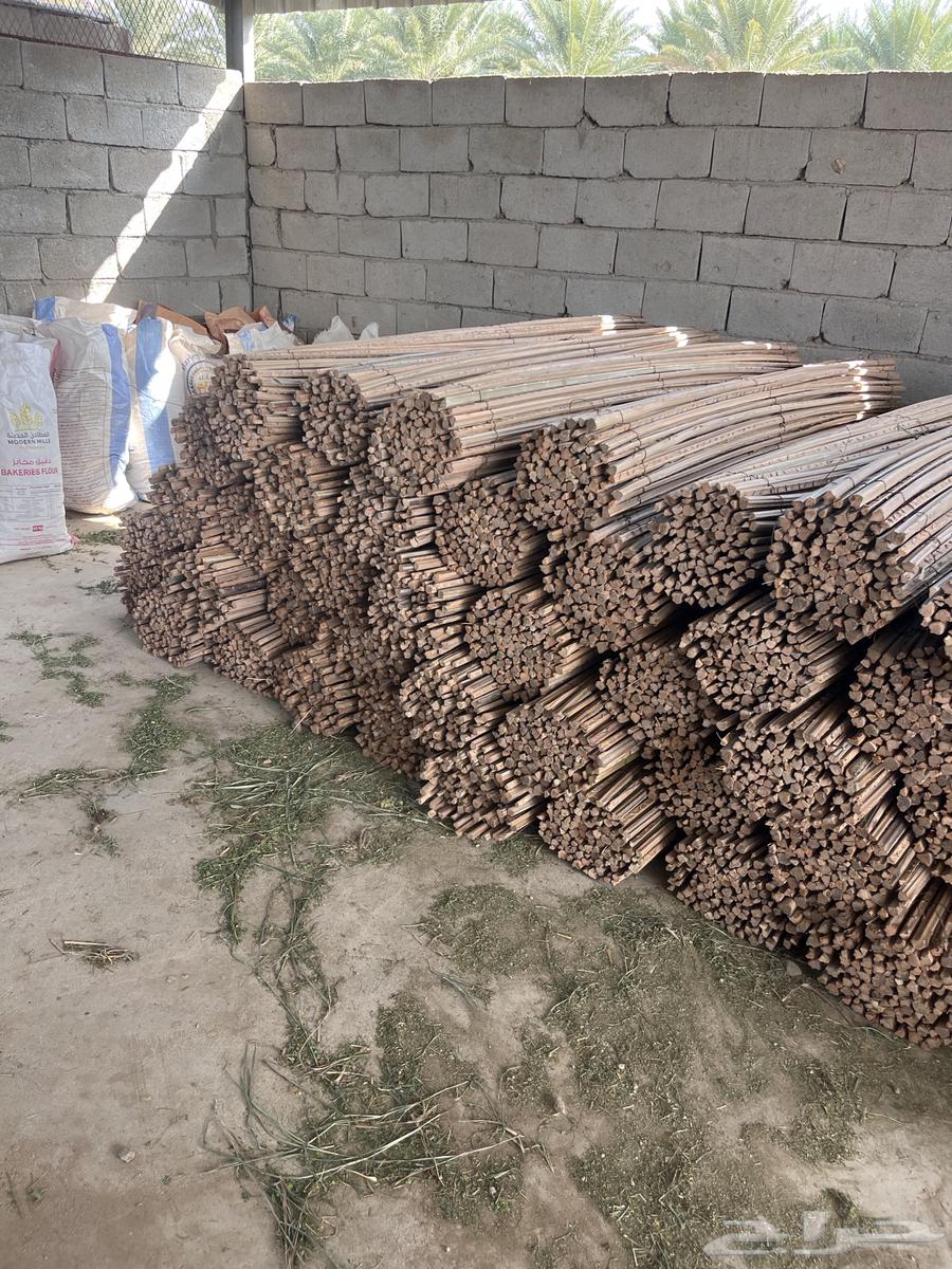 Job 3 on Tuesday guaranteed work63274181241089111