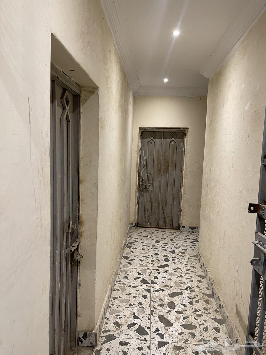 عماره للايجار بجدة63006926236033111