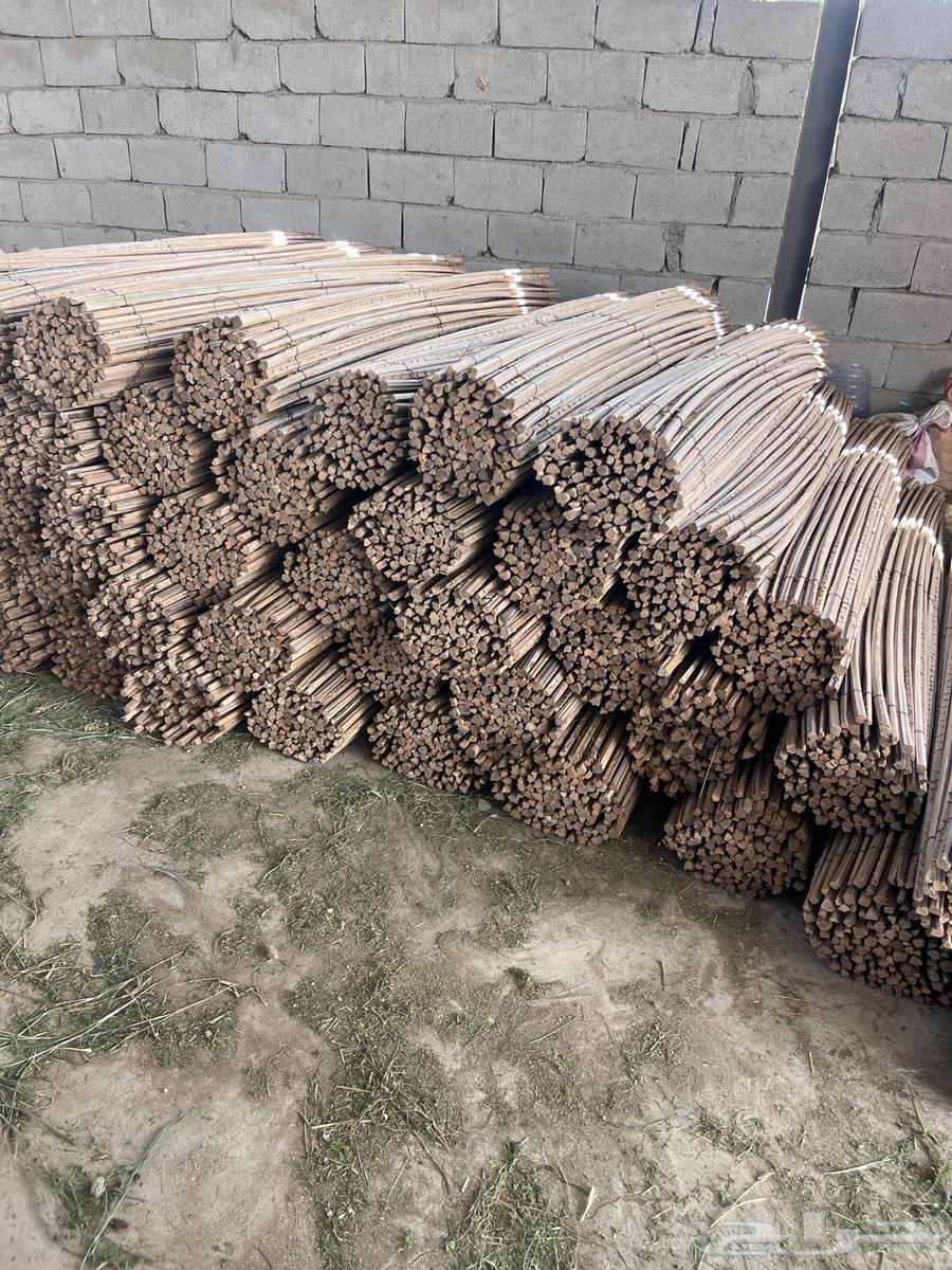 Job 3 on Tuesday guaranteed work63274181241089111