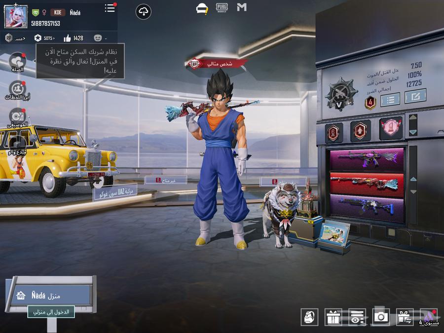A cheap, luxurious PUBG account with rare and unique items63275239852034116