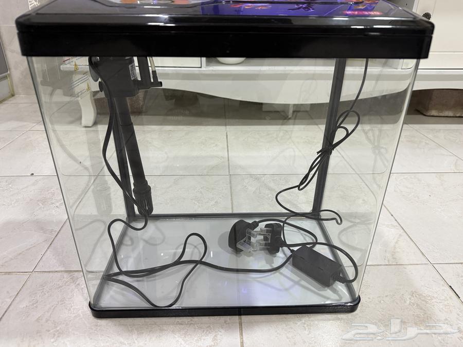 Fish Aquarium63274891443841111