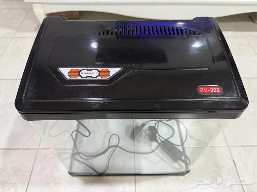 Fish Aquarium63274891443841111