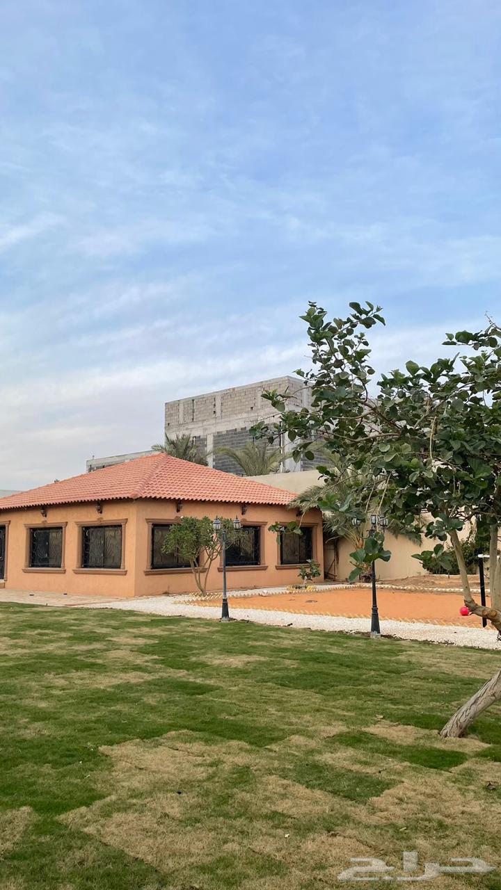 Farm, resort and rest area for sale in Al-Jubaila, Uqran district63004081937538113
