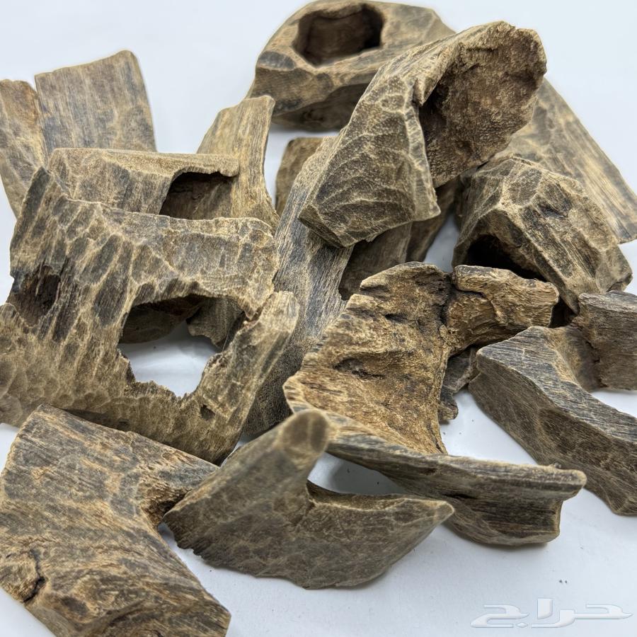 My Silani VIP comes from the good tradition of oud.63272385400451112
