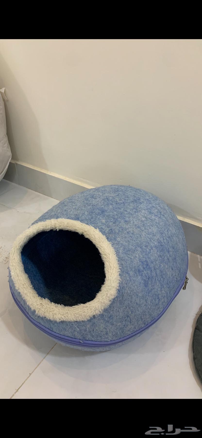 Winter cat house63273113475203114