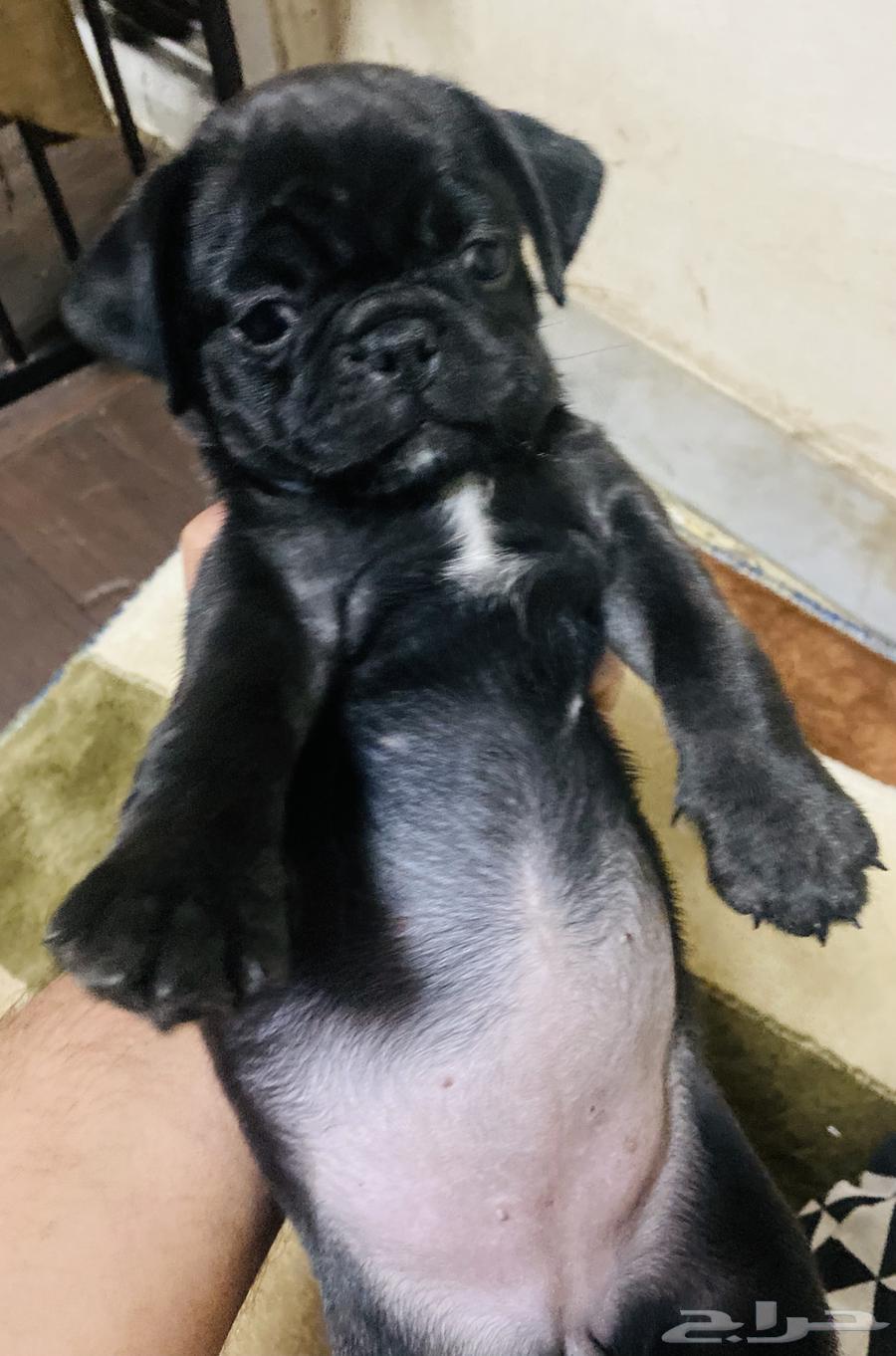 For sale, keep in touch63271589512962113