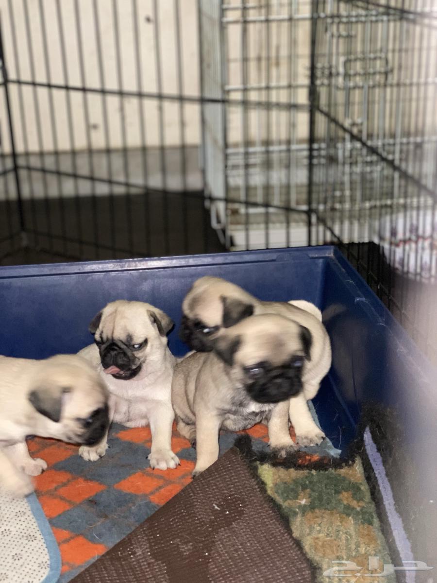 For sale, keep in touch63271589512962114