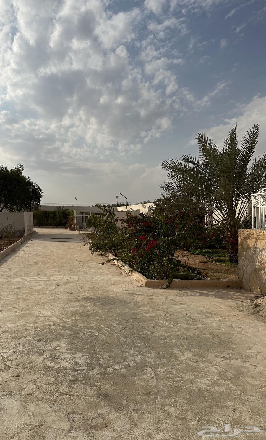 A fenced land in Dirab for sale63004082087171111