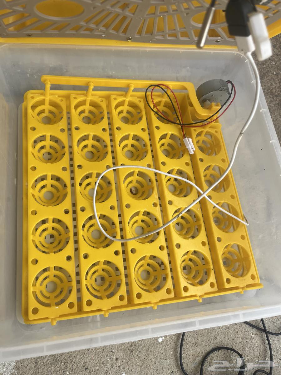 Incubator63007156033794112