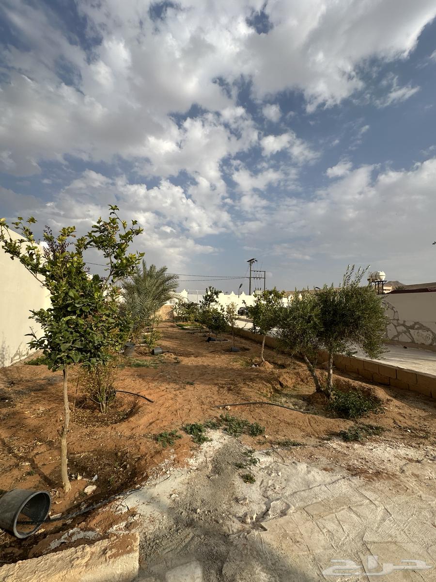 A fenced land in Dirab for sale63004082087171113
