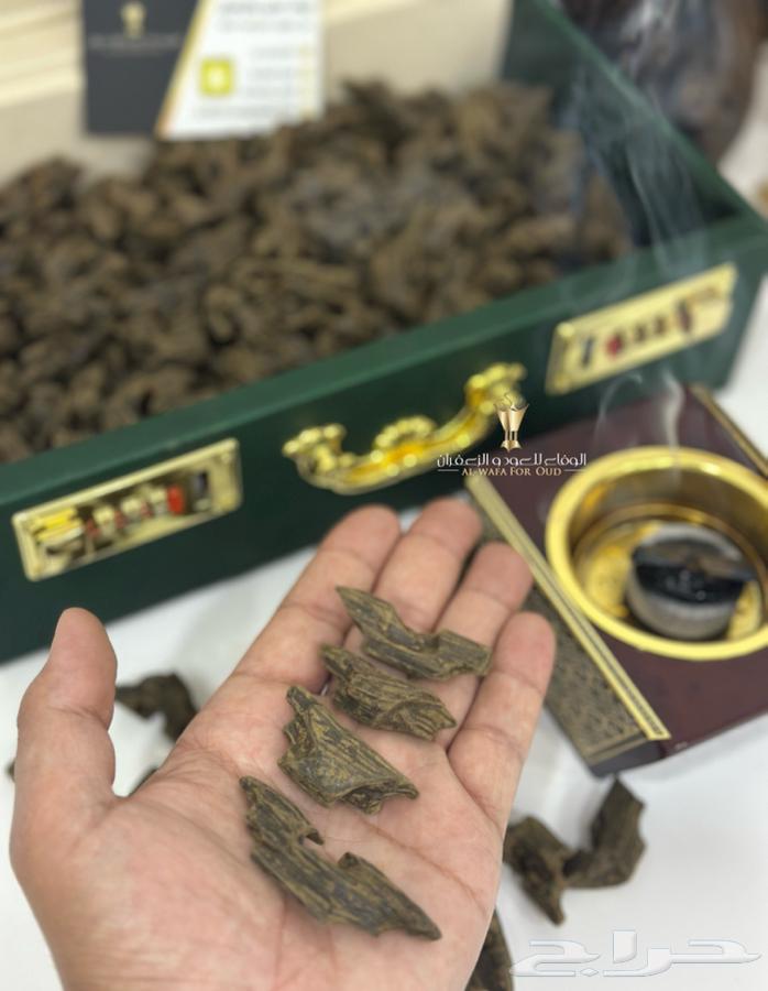 عود كلمنتان بنتلي سوبر فاخر63007156160769114