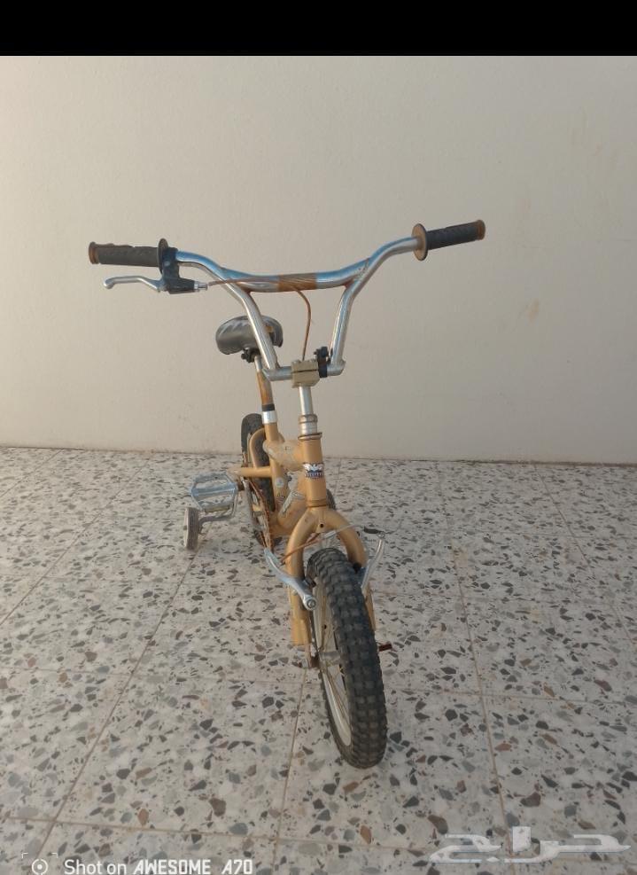 عدد 2 سيكل بحاله جيده ونوع ممتاز مع طاولة تلفزيون632675215473941124