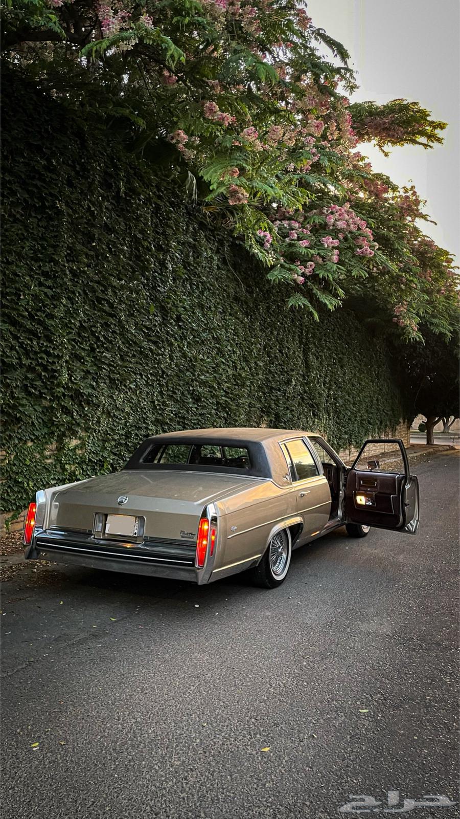 Cadillac Fleetwood Brougham de Elegance 198463434884656898111