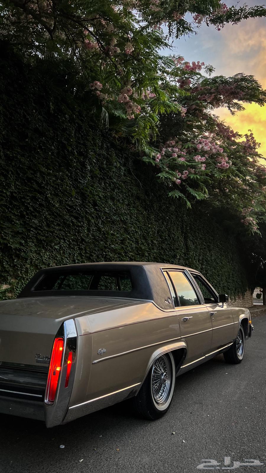 Cadillac Fleetwood Brougham de Elegance 198463434884656898113