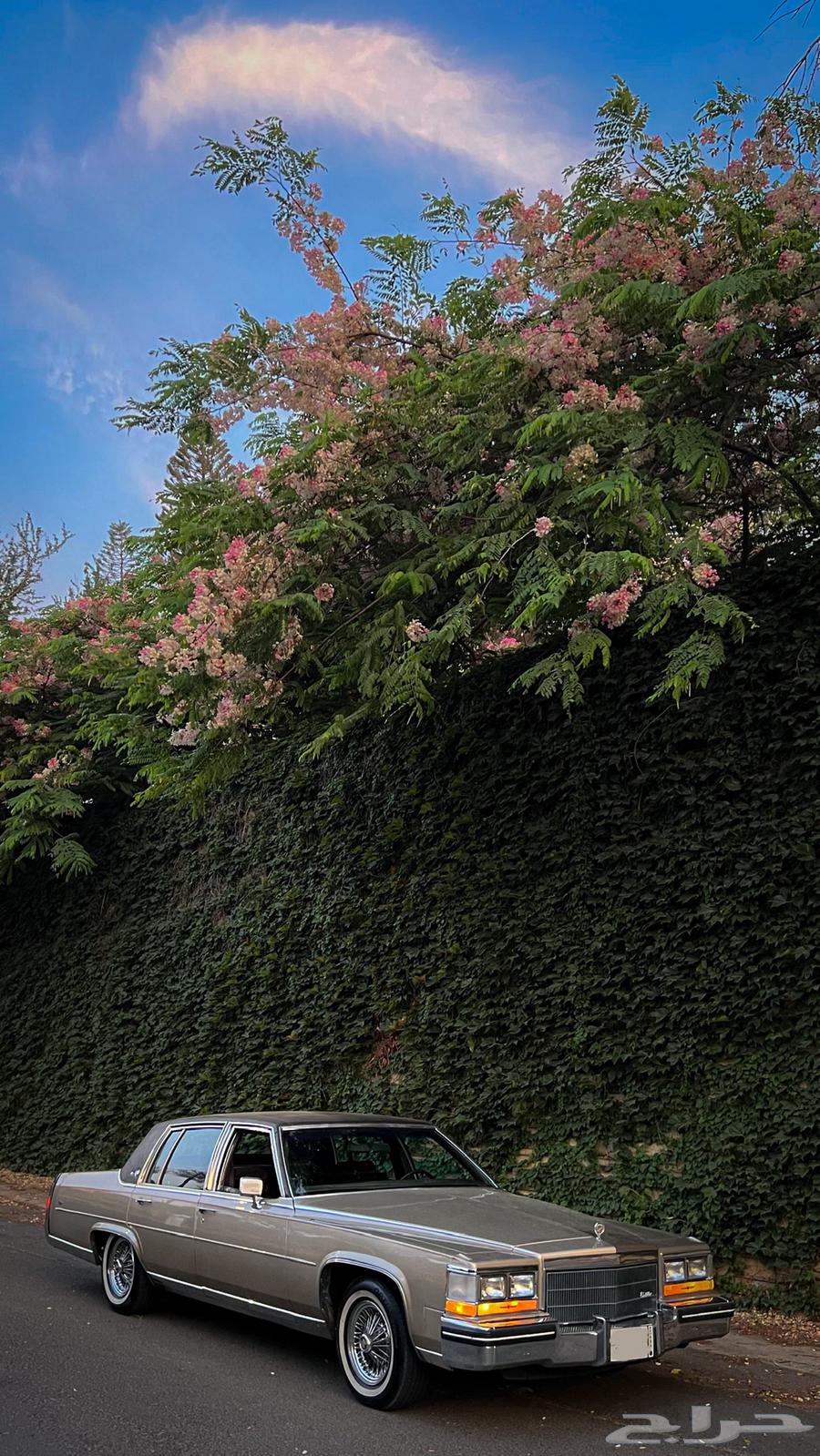 Cadillac Fleetwood Brougham de Elegance 198463434884656898112