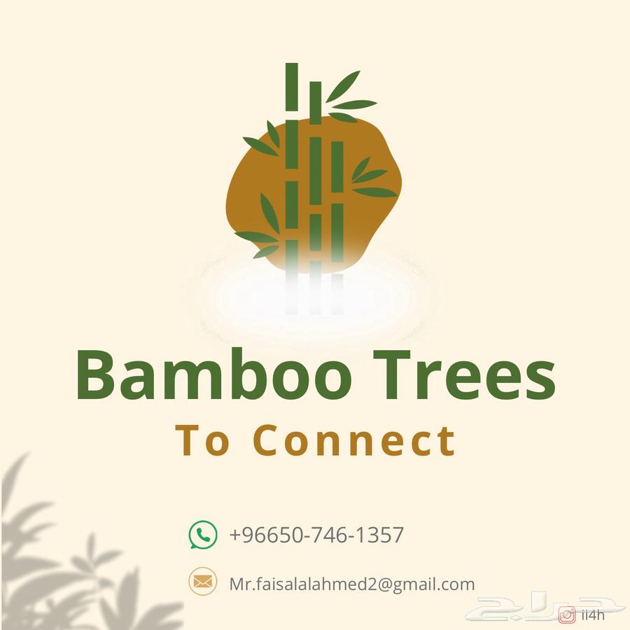 أشجار البامبو المائية63617268147330114