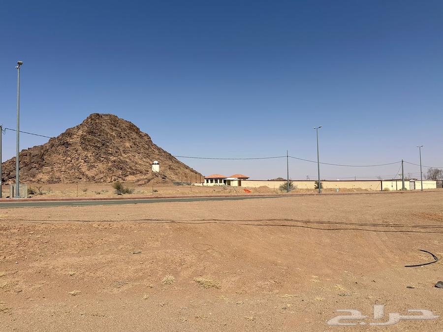 For sale: a land with a rest house built on it, located on Al-Jubail Road next to the ship traffic.62886378583299111
