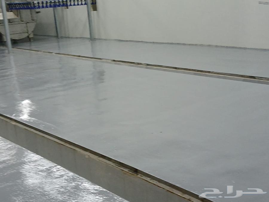 Epoxy teacher63007301769091111