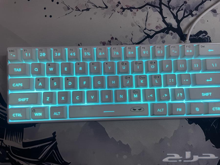 Mouse keyboard on Sum. Mobile number63617269497730114