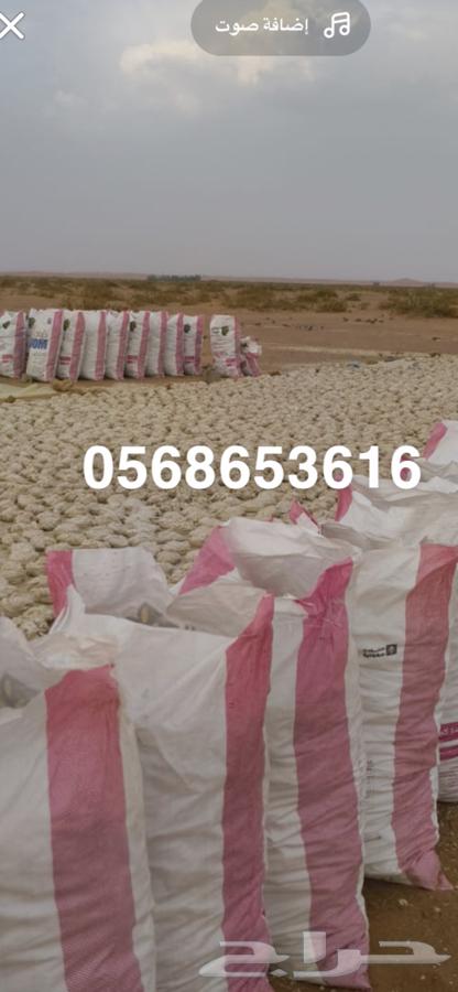 بيع علف للبل.63007267208065112