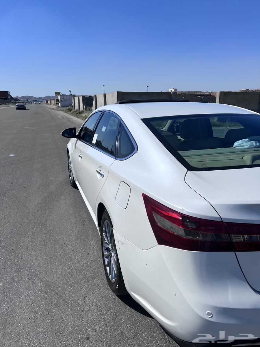 Avalon Limited 201663429906188163113