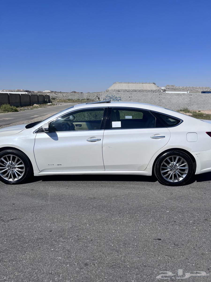 Avalon Limited 201663429906188163114
